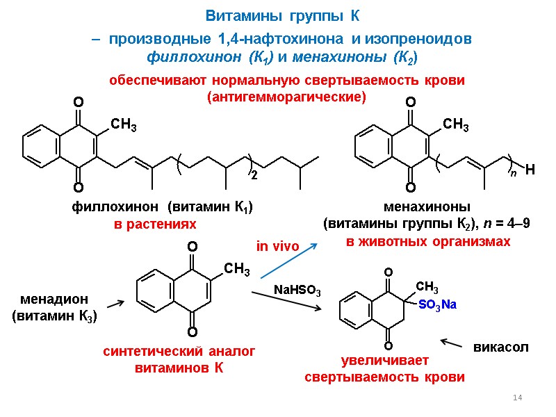 14 14 Витамины группы К  обеспечивают нормальную свертываемость крови  (антигемморагические) филлохинон 